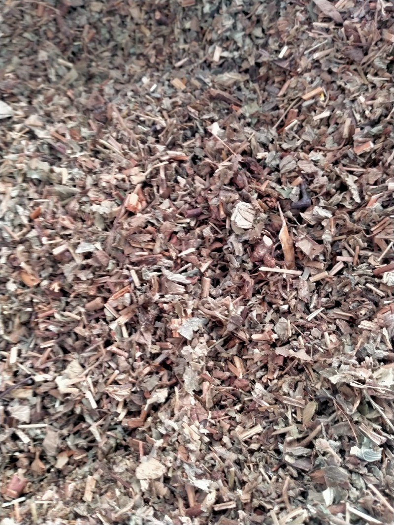 仙鹤草，大货批发一手货源产地直销，品质好，价格优