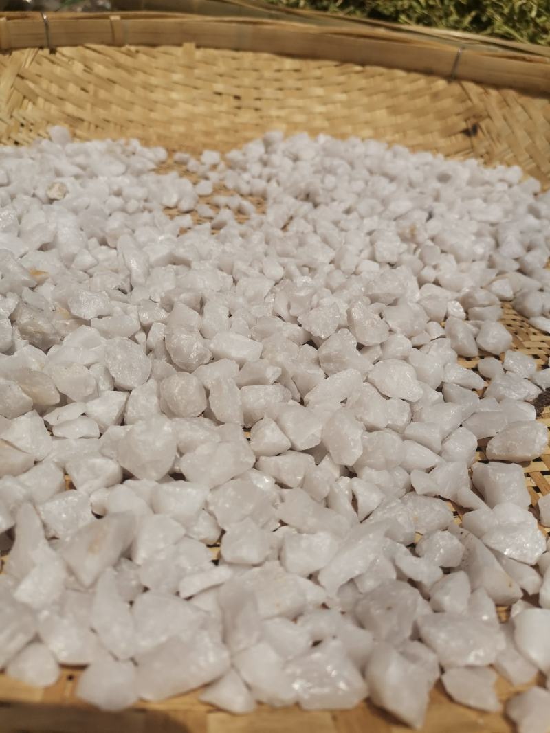 云南中药材白石英500包邮9.9