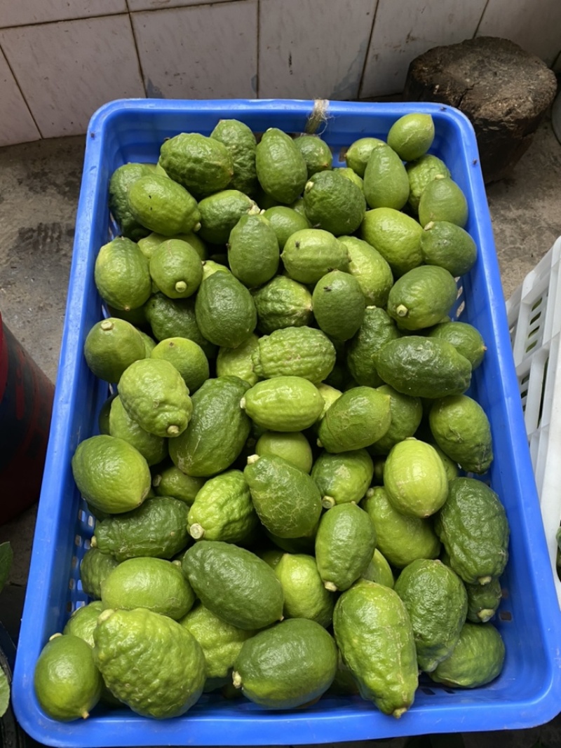 3号摘果有需要的老板联系我提前做好计划