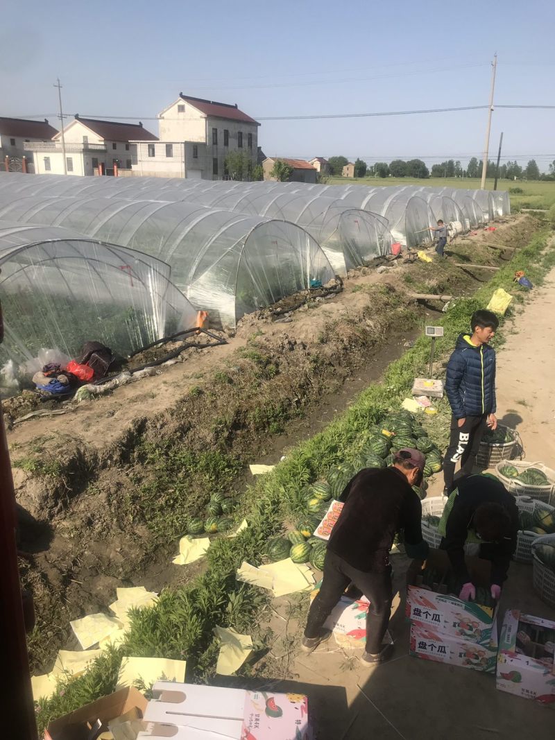 大量出售精品甘美4k需要的老板看过来，包量