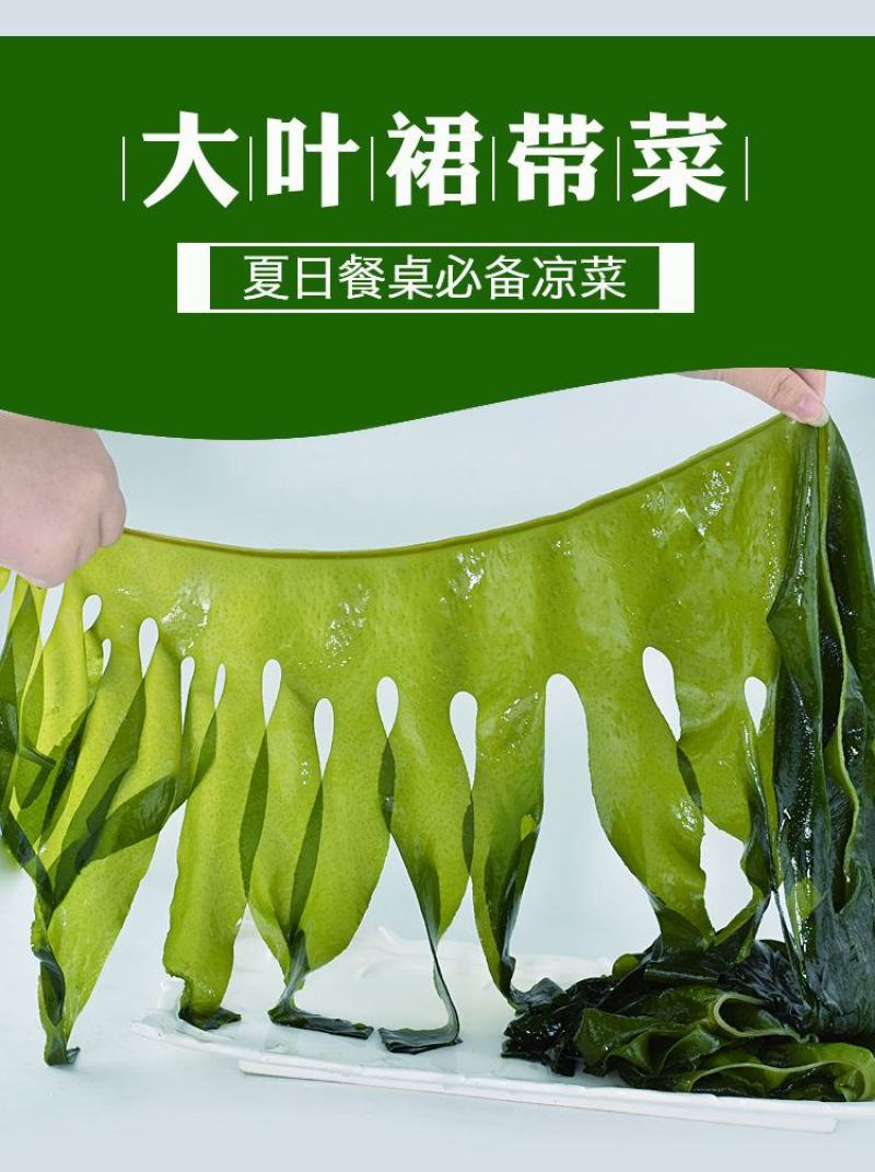 【产地】【一件代发】夏季销裙带菜嫩海带叶整箱包邮
