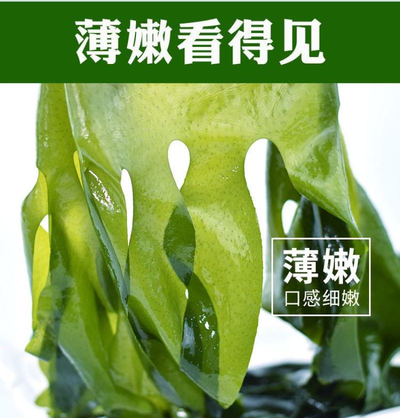 【产地】【一件代发】夏季销裙带菜嫩海带叶整箱包邮