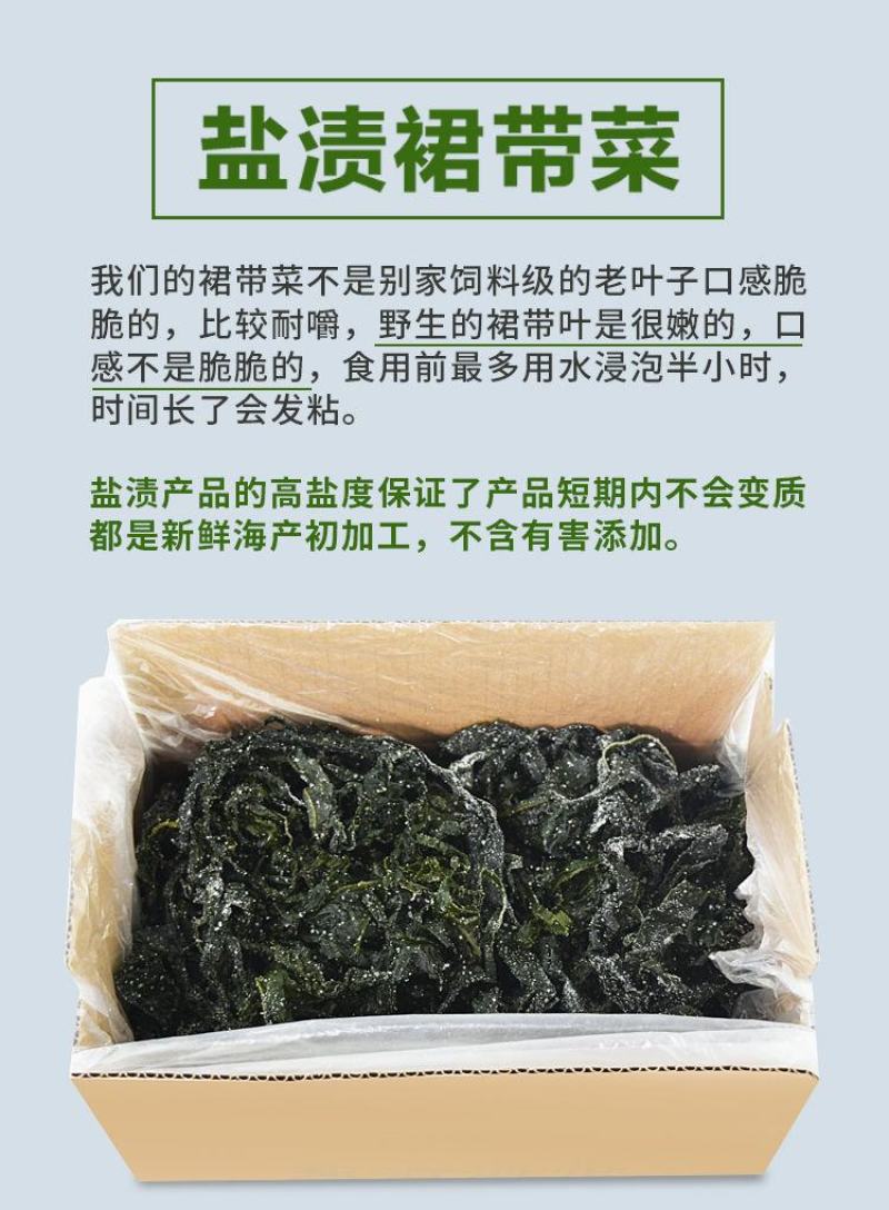 【产地】【一件代发】夏季销裙带菜嫩海带叶整箱包邮