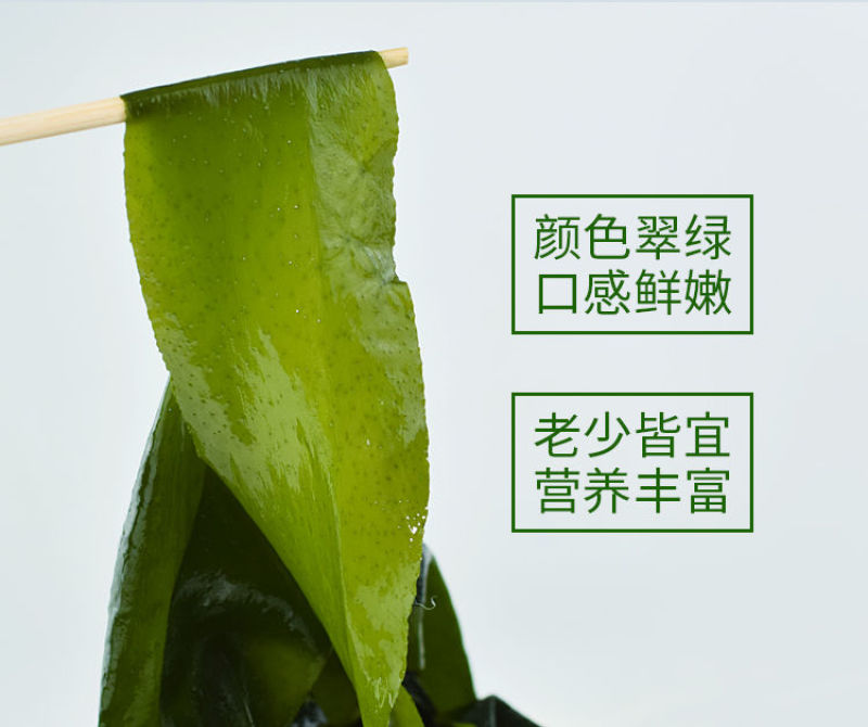 【产地】【一件代发】夏季销裙带菜嫩海带叶整箱包邮