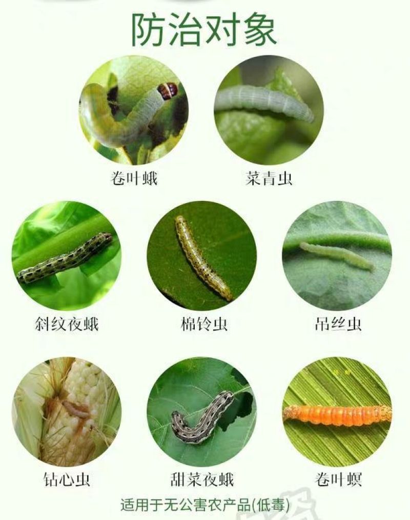 甲维氯虫苯甲酰吊丝虫青菜甘蓝玉米钻心虫稻卷叶螟农药杀虫剂