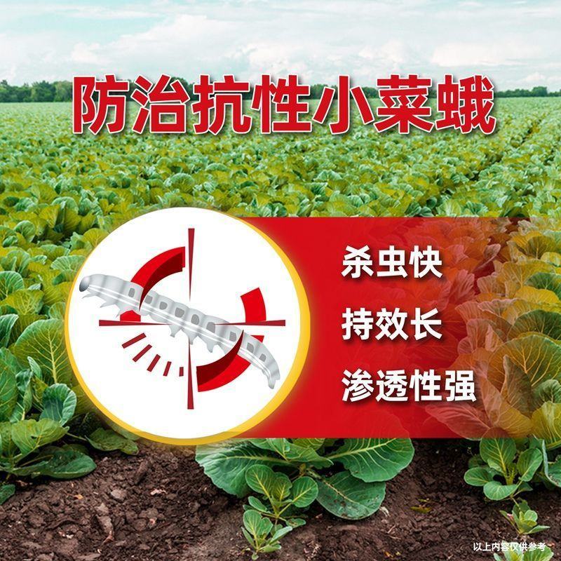 甲维氯虫苯甲酰吊丝虫青菜甘蓝玉米钻心虫稻卷叶螟农药杀虫剂
