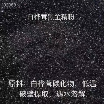 俄罗斯进口桦树茸黑金粉