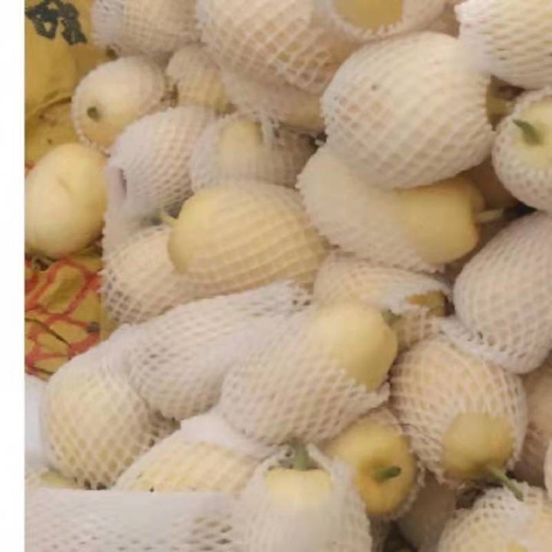 大荔甜瓜大量上市