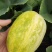 大荔甜瓜大量上市