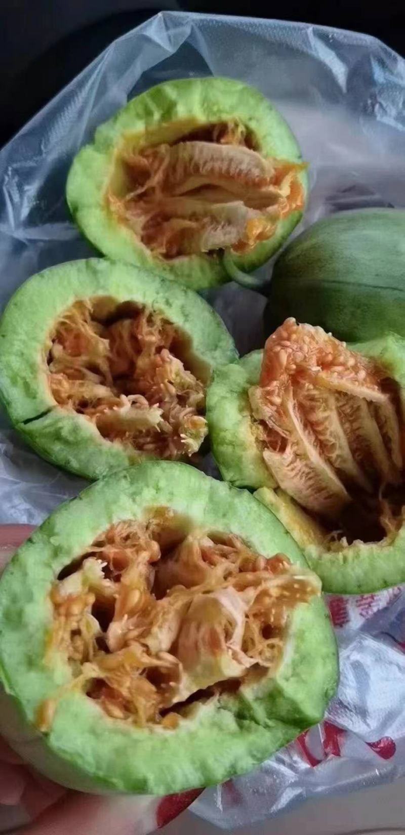 大荔甜瓜大量上市