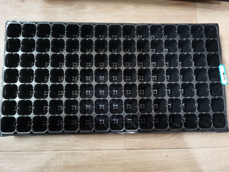 环保新材料育苗穴盘，各种型号各种厚度厂家直销量大从优