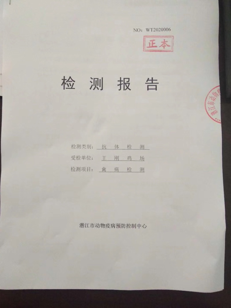 【整车更优惠】生态散养土鸡蛋，420个土鸡蛋一箱！