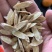 中药材黄芪北芪批发各种中药材量大从优