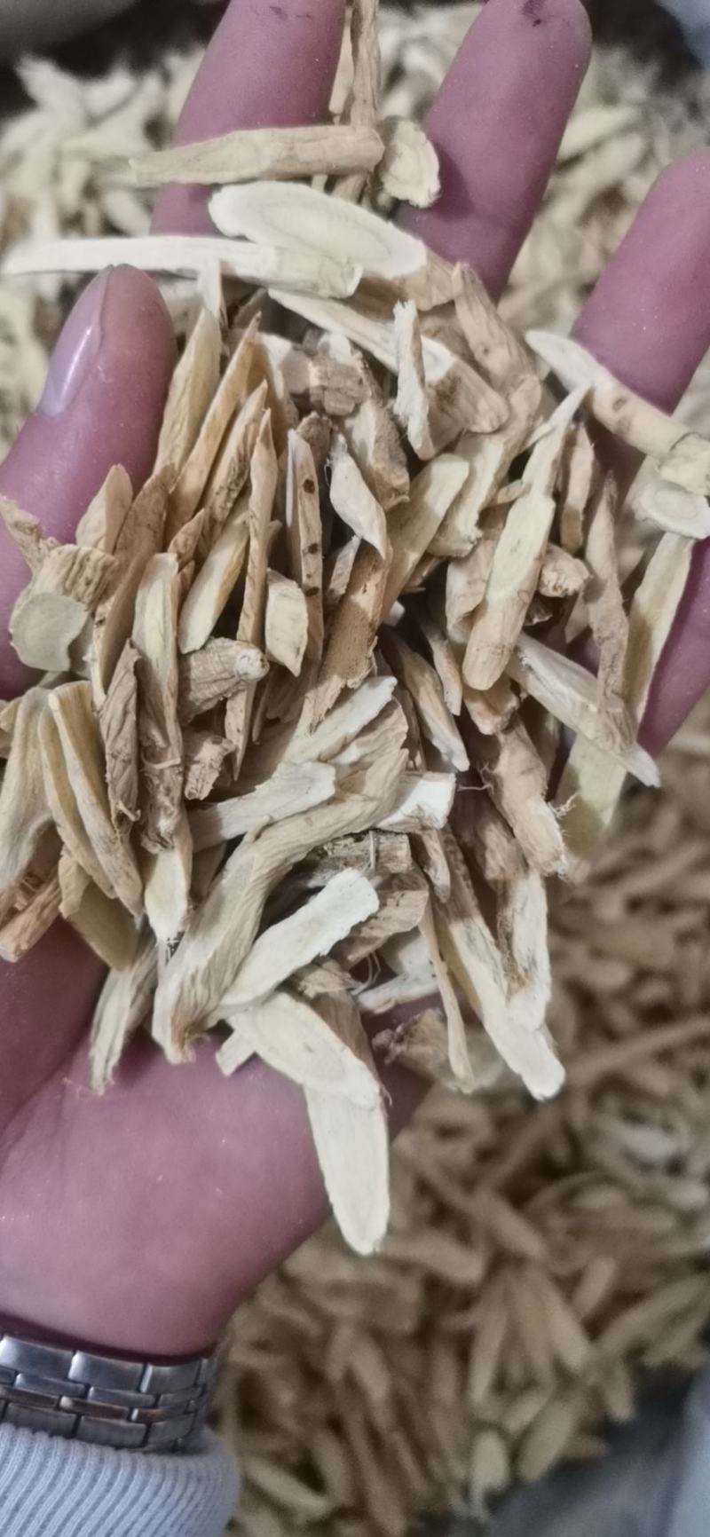 中药材黄芪北芪批发各种中药材量大从优