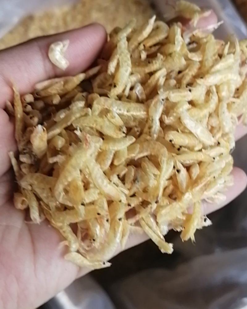 麦秆虾水晶虾小虾米干虾