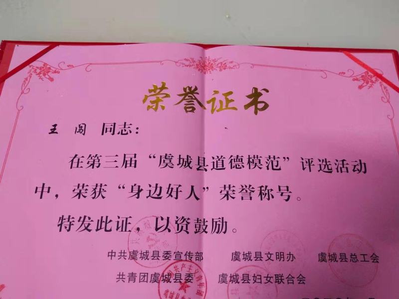 河南大棚大叶香菜，种植示范基地，精挑细选，全国代发