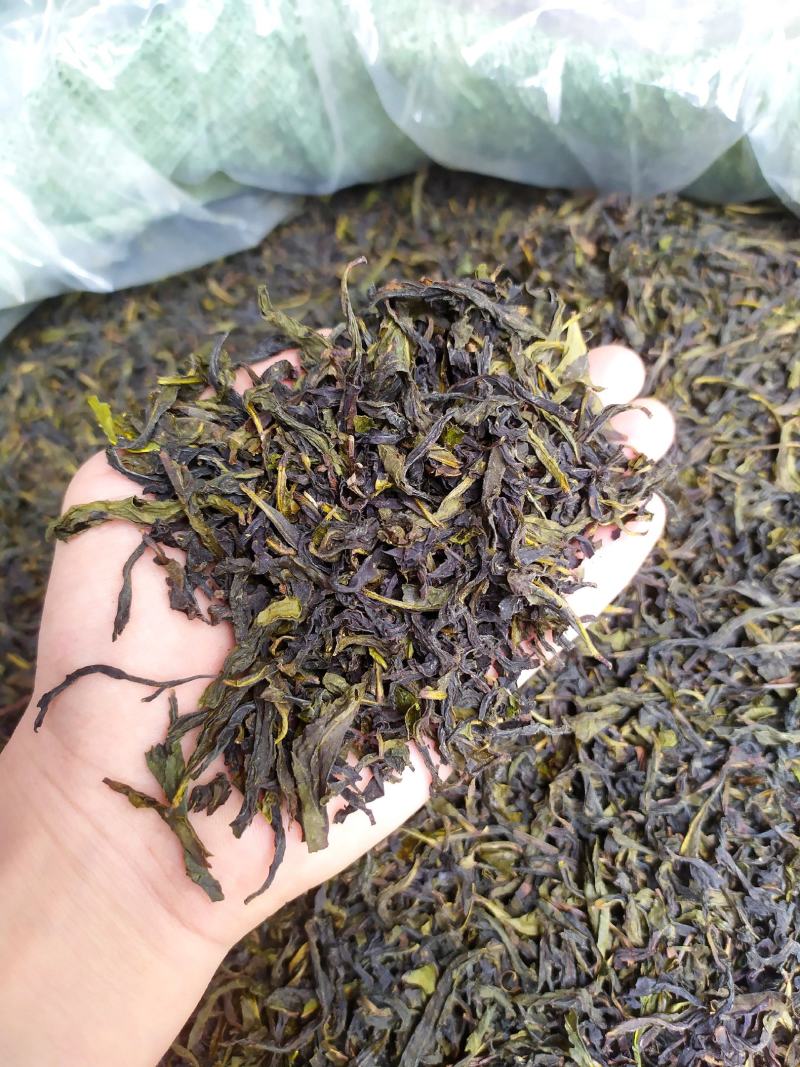 土山茶金牡丹茶诏安富硒八仙茶潮汕惠来土山茶福建高山茶