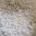 天竺黄天竺黄一公斤一袋质量保证纯白色天竺黄