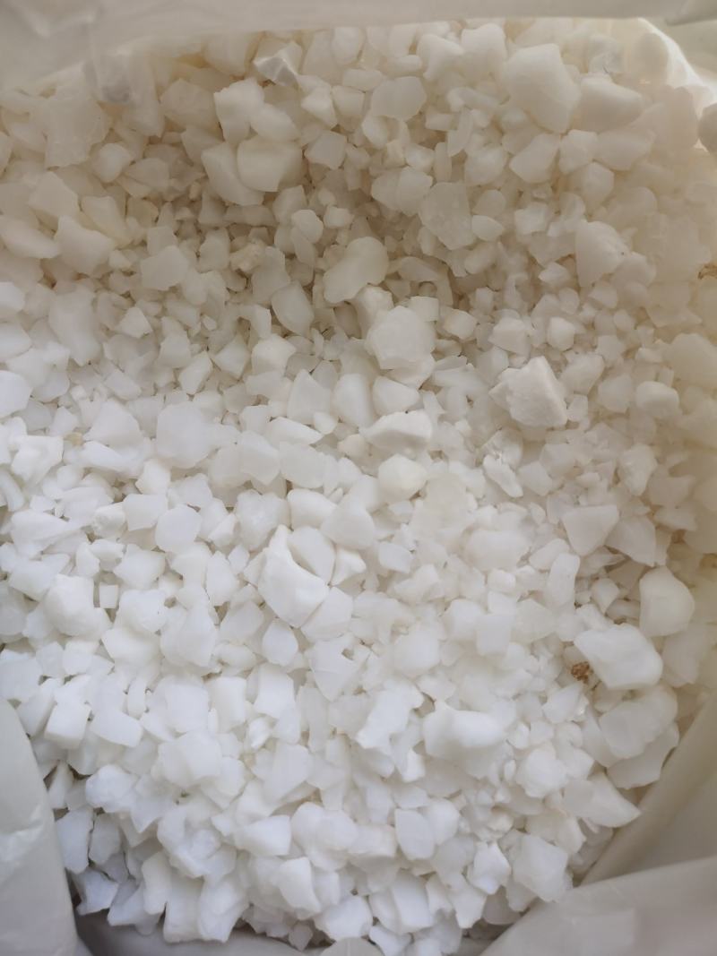天竺黄天竺黄一公斤一袋质量保证纯白色天竺黄