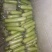 白玉丝瓜奶油丝瓜肉丝瓜上市质量杠杠的