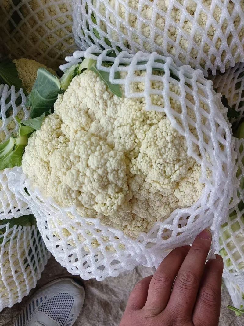 白面小米粒，有机花，散松花菜，花菜，一手货源，货源充足