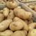 黄心荷兰土豆，质量好，价格便宜，箱货，袋装都有，需要联系