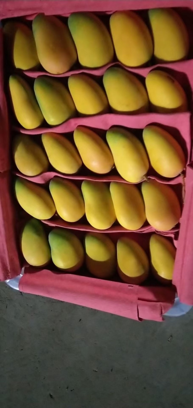小台芒