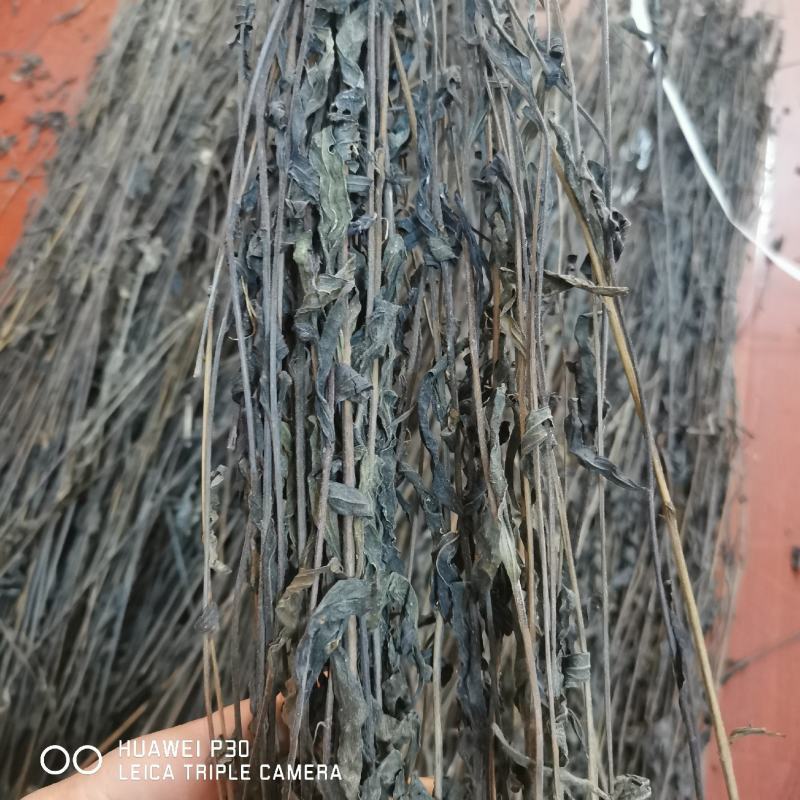 黑草鬼羽箭一公斤起批包邮野生货黑骨草