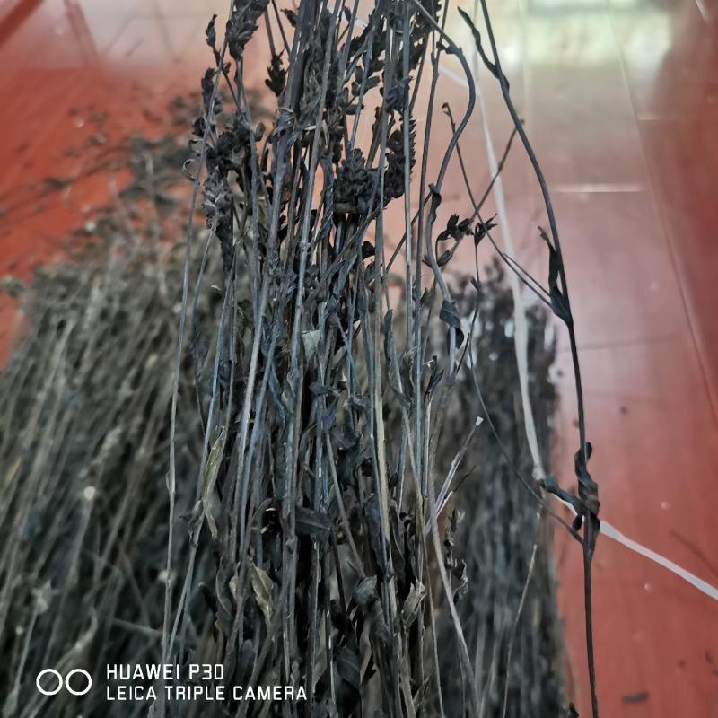 黑草鬼羽箭一公斤起批包邮野生货黑骨草