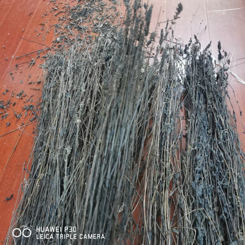 黑草鬼羽箭一公斤起批包邮野生货黑骨草