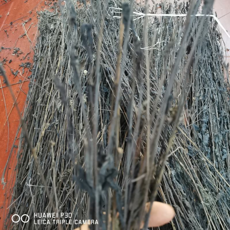 黑草鬼羽箭一公斤起批包邮野生货黑骨草