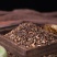 中药桂枝农家天然干桂枝头片大片选桂枝量大从优