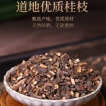 中药桂枝农家天然干桂枝头片大片选桂枝量大从优