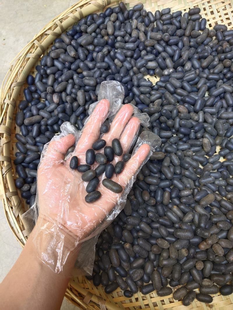 云南野生中药材双肾子石莲子500g包邮