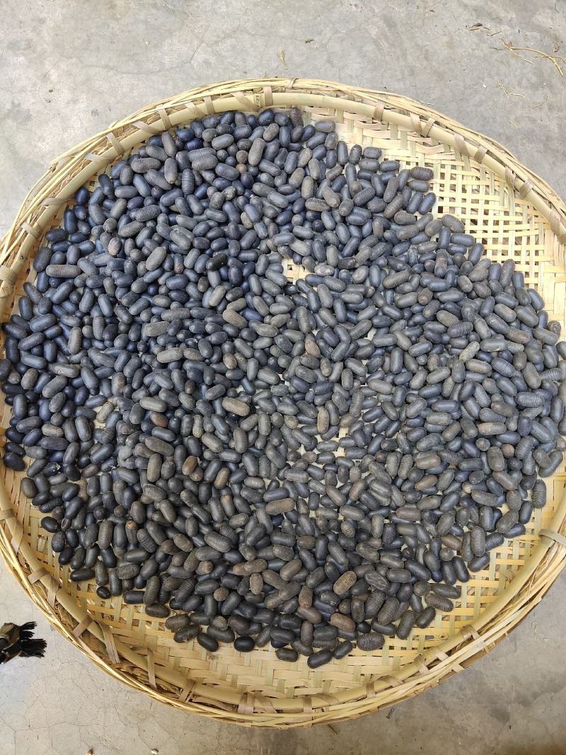 云南野生中药材双肾子石莲子500g包邮