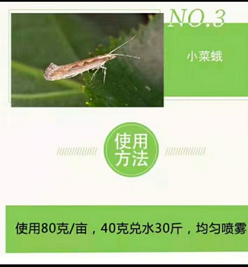 佛山盈辉棉铃虫核型多角体病毒辣椒蔬菜农药菜青虫钻心虫杀虫