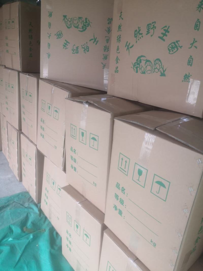 干金针菇10~15厘米干度有保证，畅销产品！！