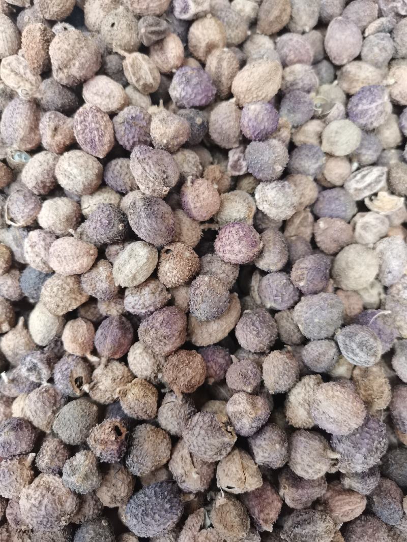 阳春砂砂仁米各种香辛料中药材批发药食同源