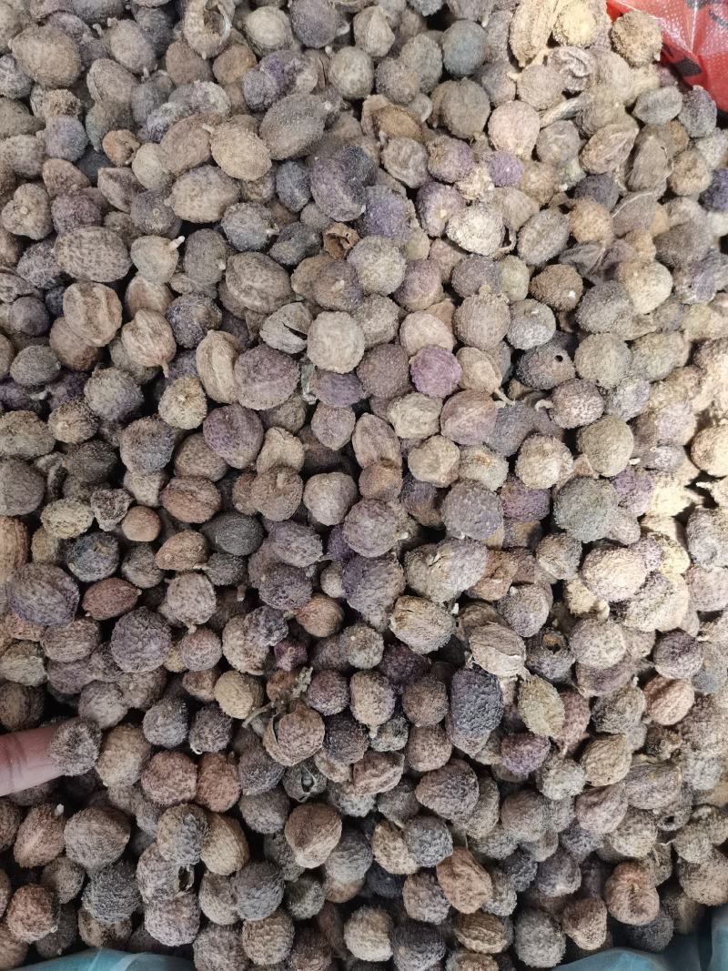 阳春砂砂仁米各种香辛料中药材批发药食同源