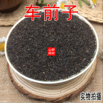 云南野生中药材车前子，车前草种子新鲜干货500g