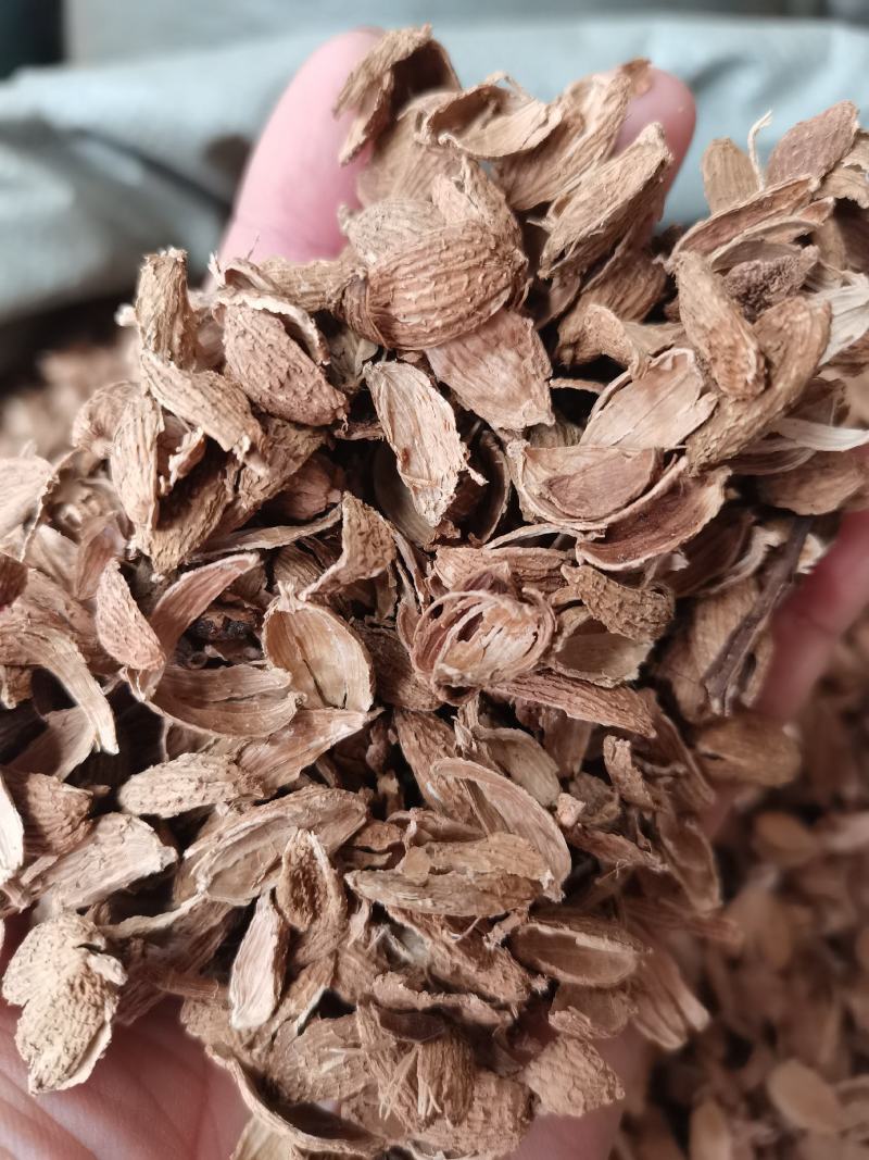砂仁皮砂仁砂仁米各种规格砂仁香辛料批发