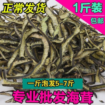 【产地】【一件代发】南极海茸干新晒凉拌菜海茸丝包邮