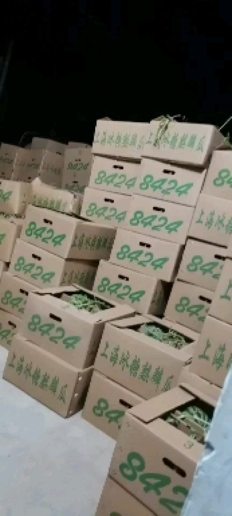 精品8424西瓜皮薄多汁产地直供【解暑利器】量大从优！