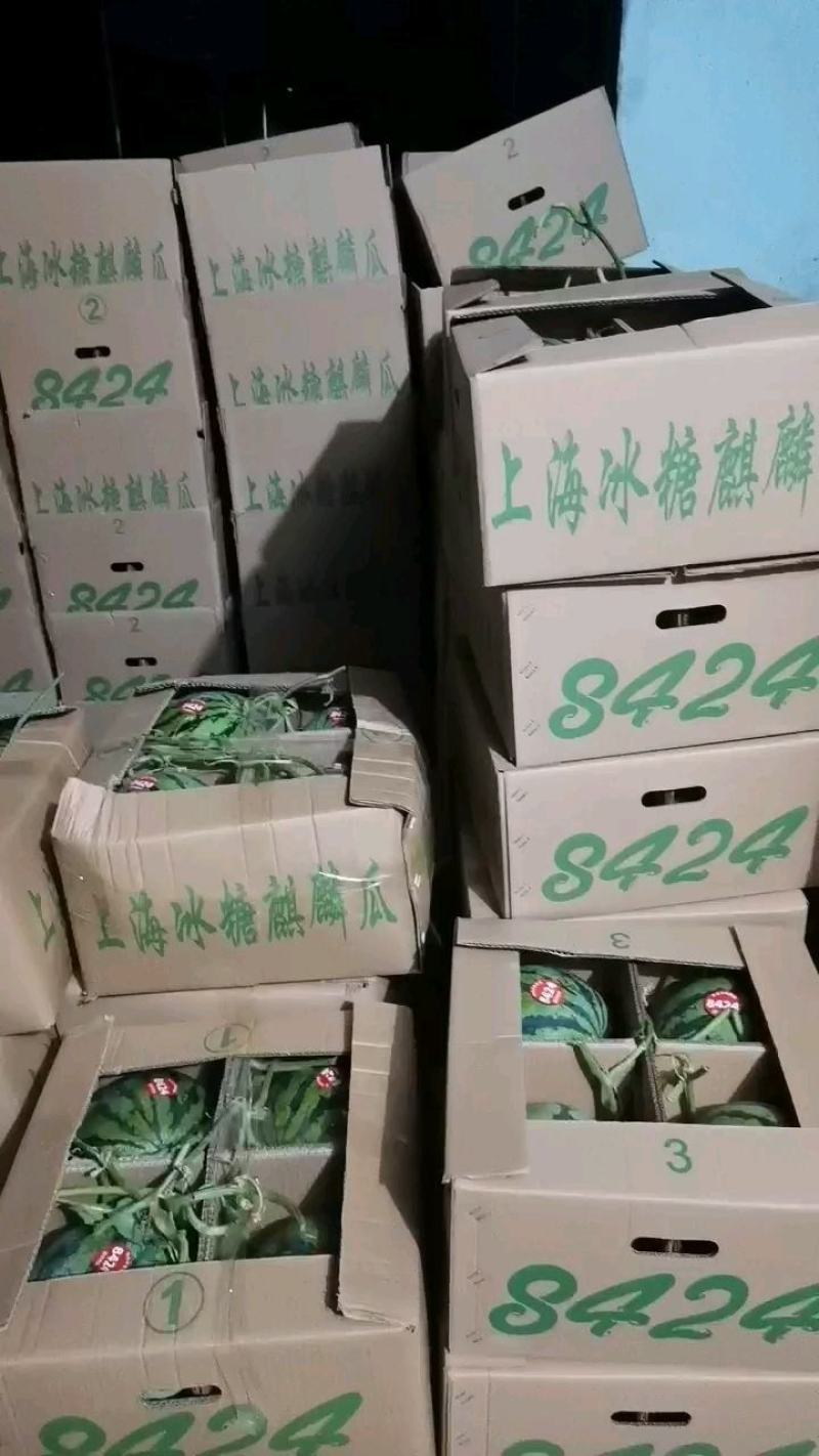 精品8424西瓜皮薄多汁产地直供【解暑利器】量大从优！