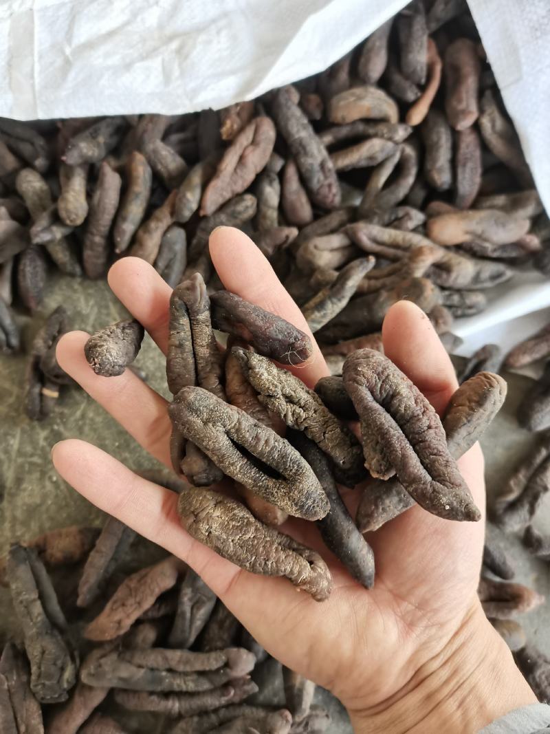小茄参盐渍半干产地直销海地瓜白菜价海番薯