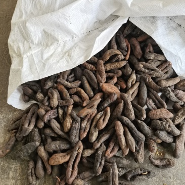 小茄参盐渍半干产地直销海地瓜白菜价海番薯