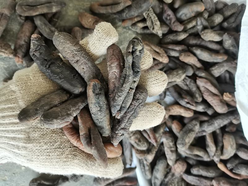 小茄参盐渍半干产地直销海地瓜白菜价海番薯