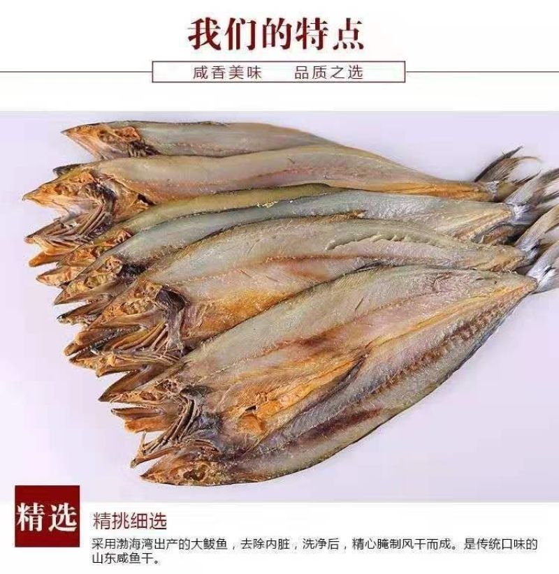 鲅鱼干马鲛鱼干海鱼咸鱼干风干整条新鲜海产半干咸鱼干货包邮