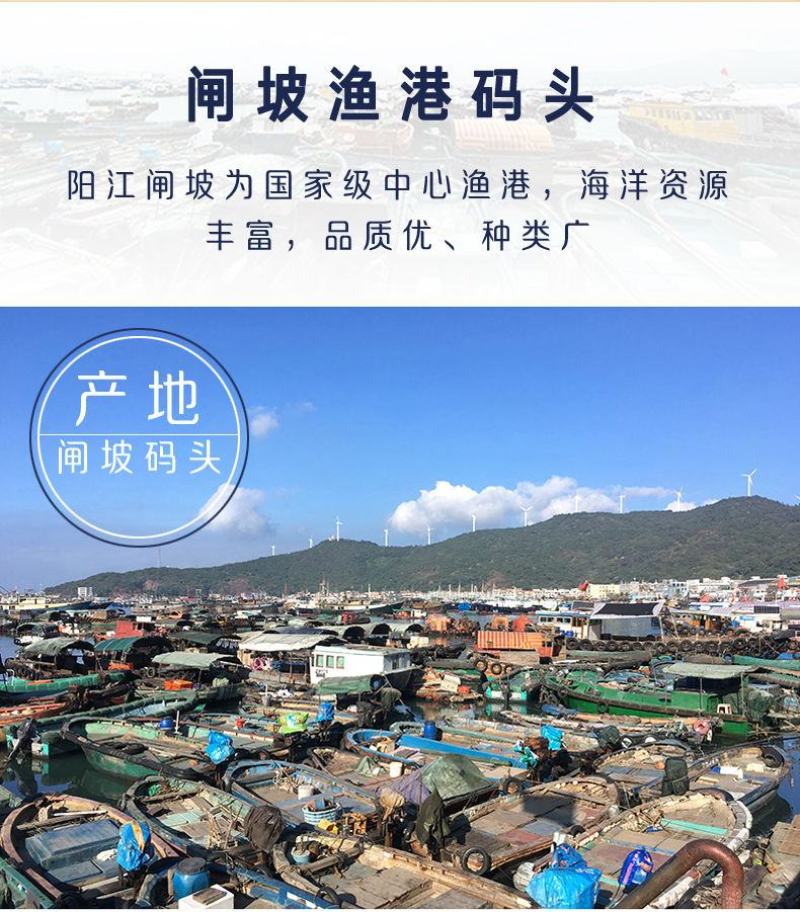 阳江特产马友鱼干淡干深海鱼干大条咸鱼干自制风干渔家自晒