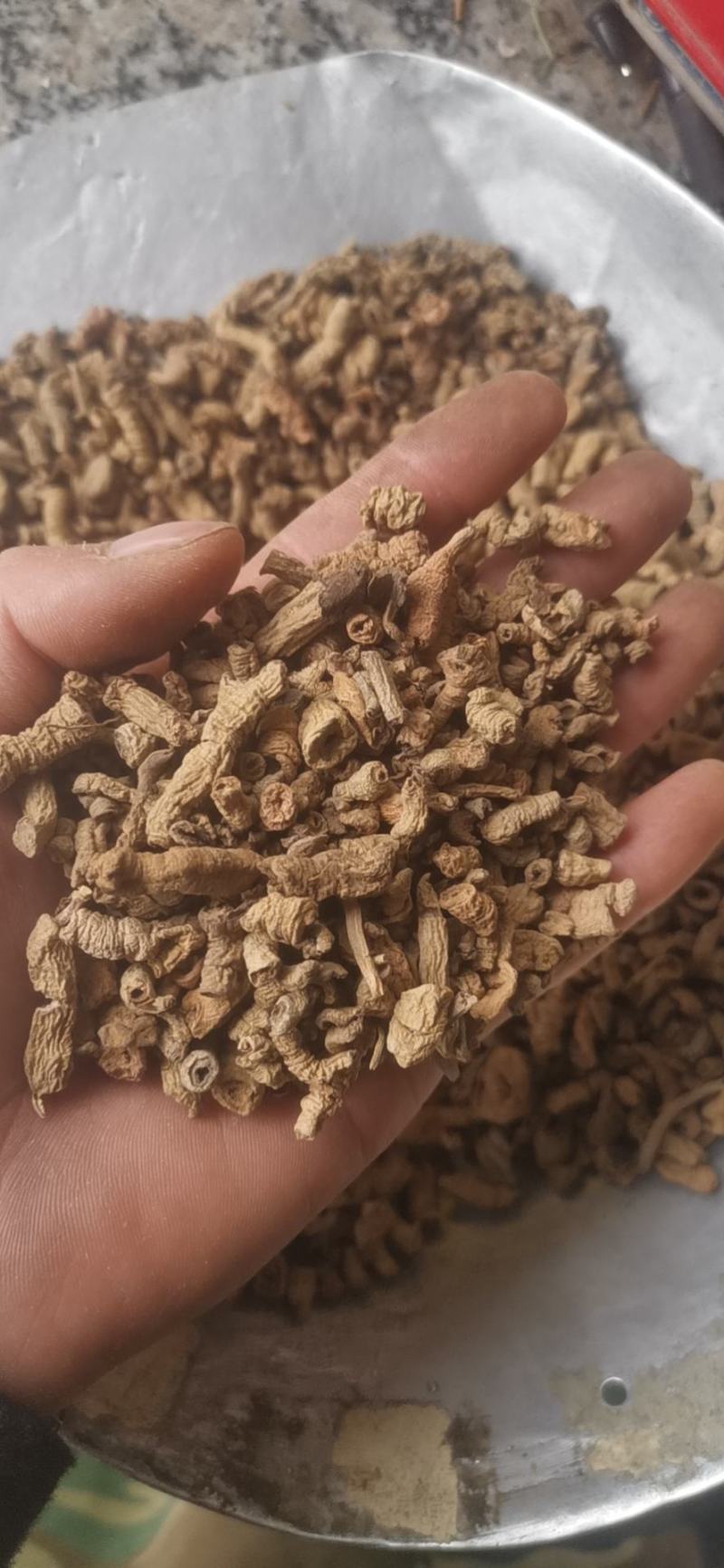 批发中药材巴戟巴戟天巴戟肉批发各种中药材量大从优